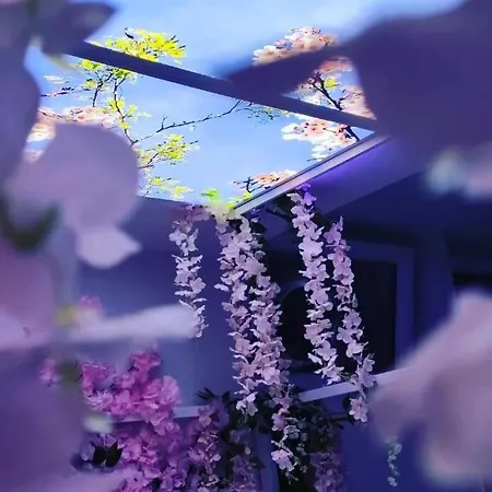 Cocon Des Merveilles - Balnéo Ronde Avec Cascade Appartamento Le Havre